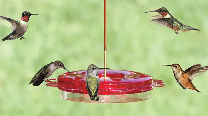 12 oz. Hummerfest Hummingbird Feeder