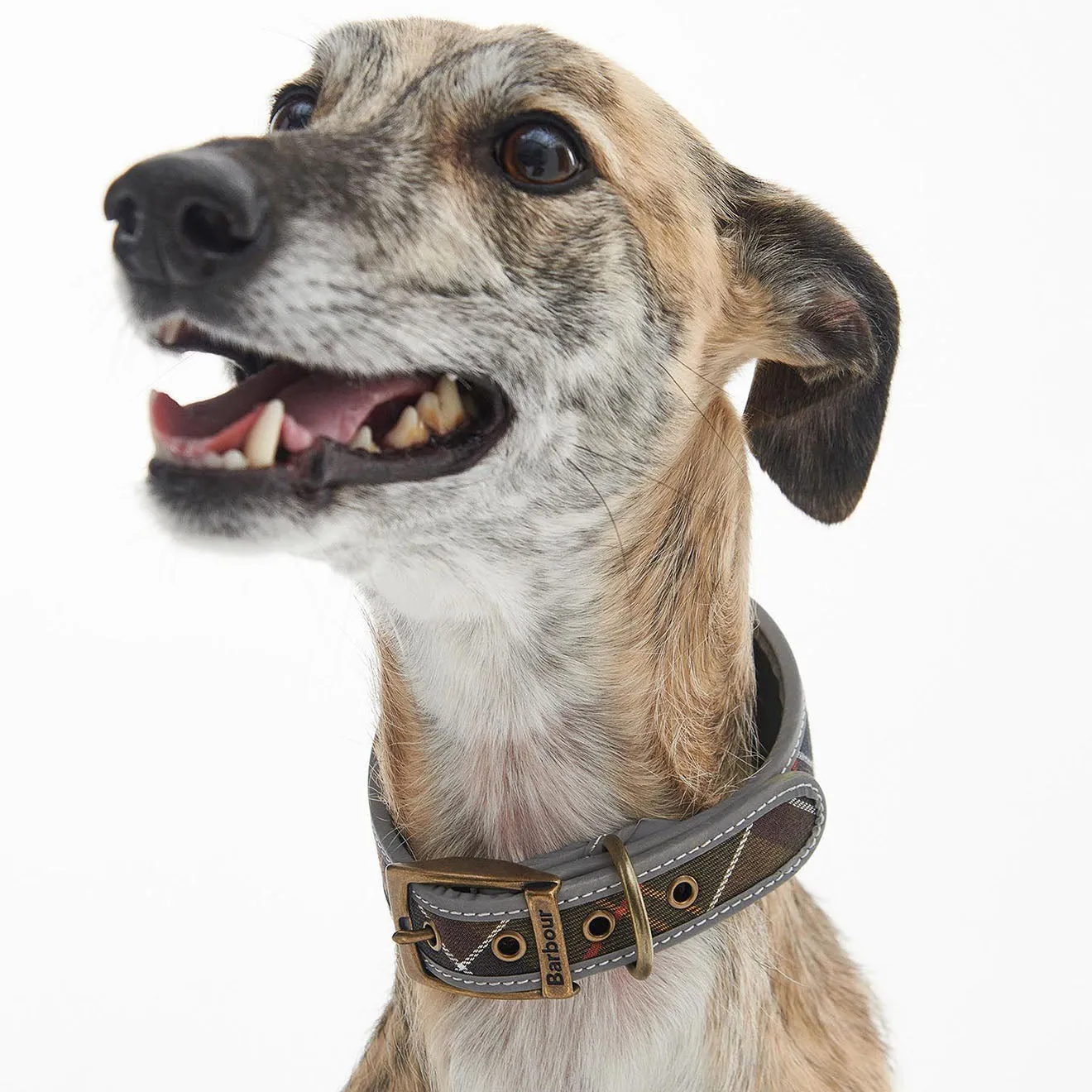 Barbour Comfort Lurcher Dog Collar Classic Tartan