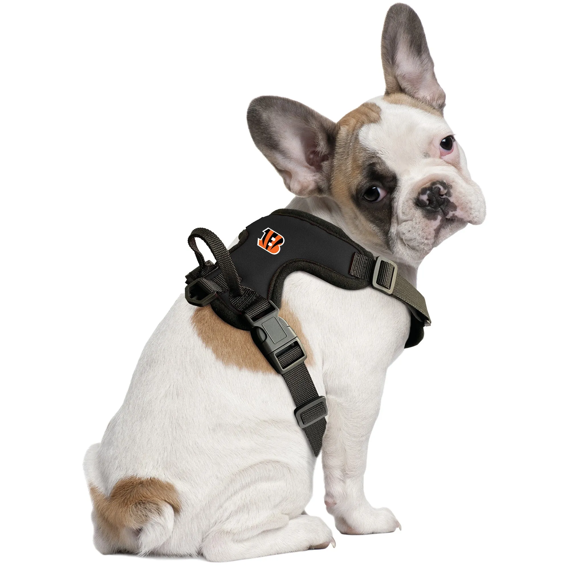 Cincinnati Bengals Front Clip Pet Harness