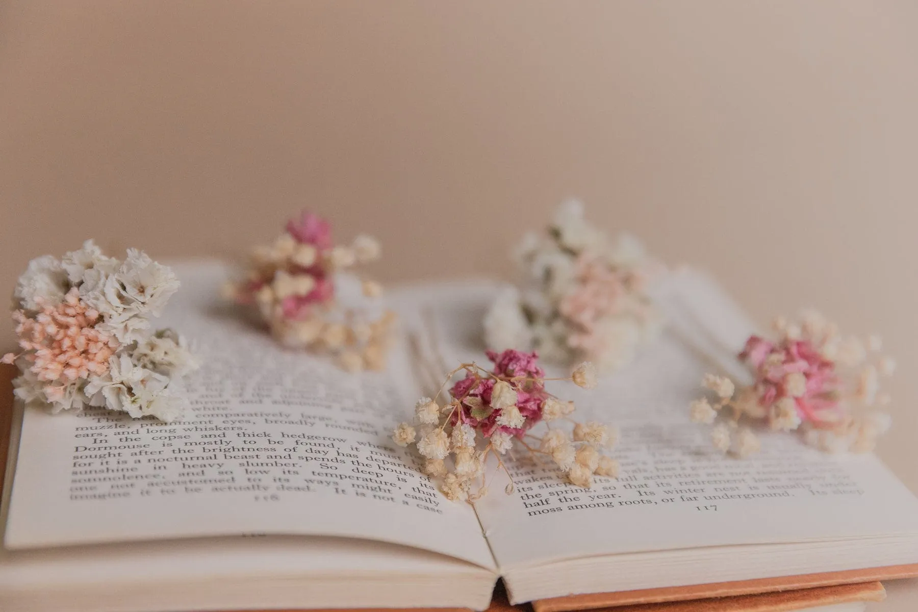 Dried Gypsophila & Pink Larkspur Boho Bridal Hair Pin Set 5 Piece