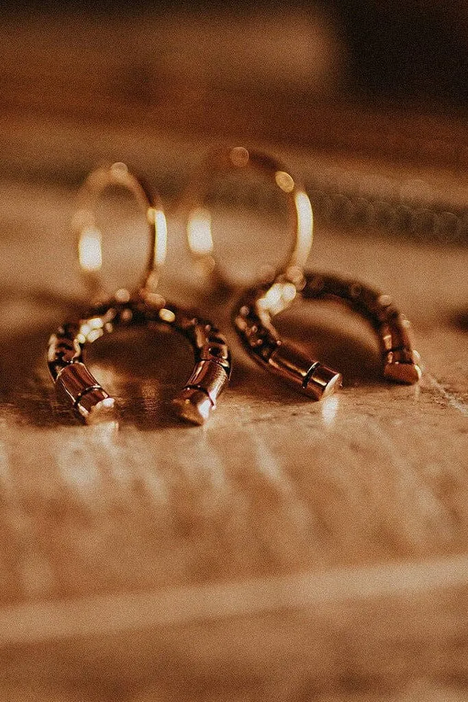 Lucky Charm Horseshoe Hoop Earrings