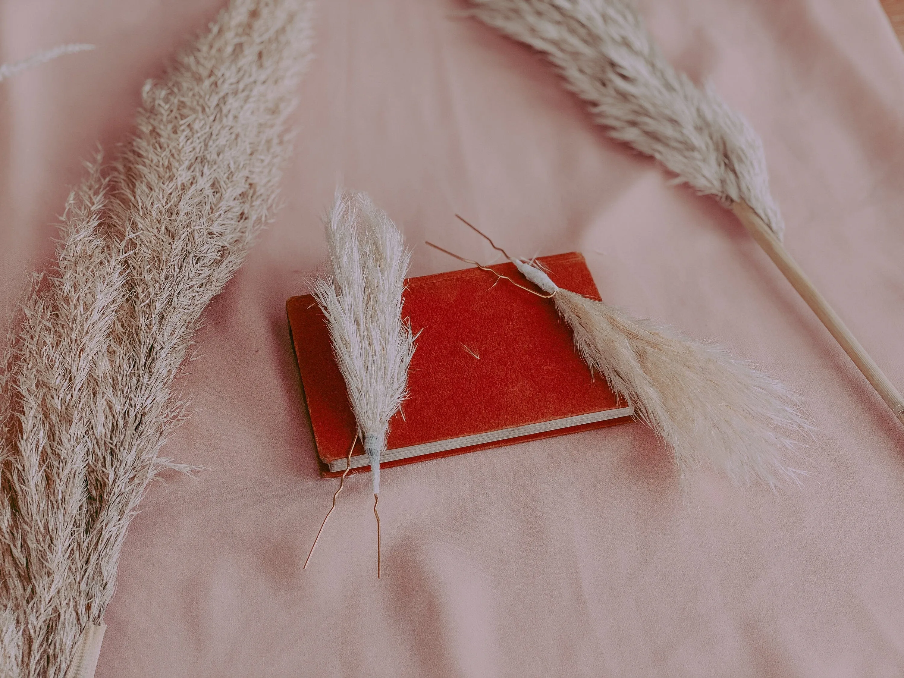 Pampas Grass Flower Pin / Boho Hair Pins / Bride Hair Pin Set / Hair Pin Set