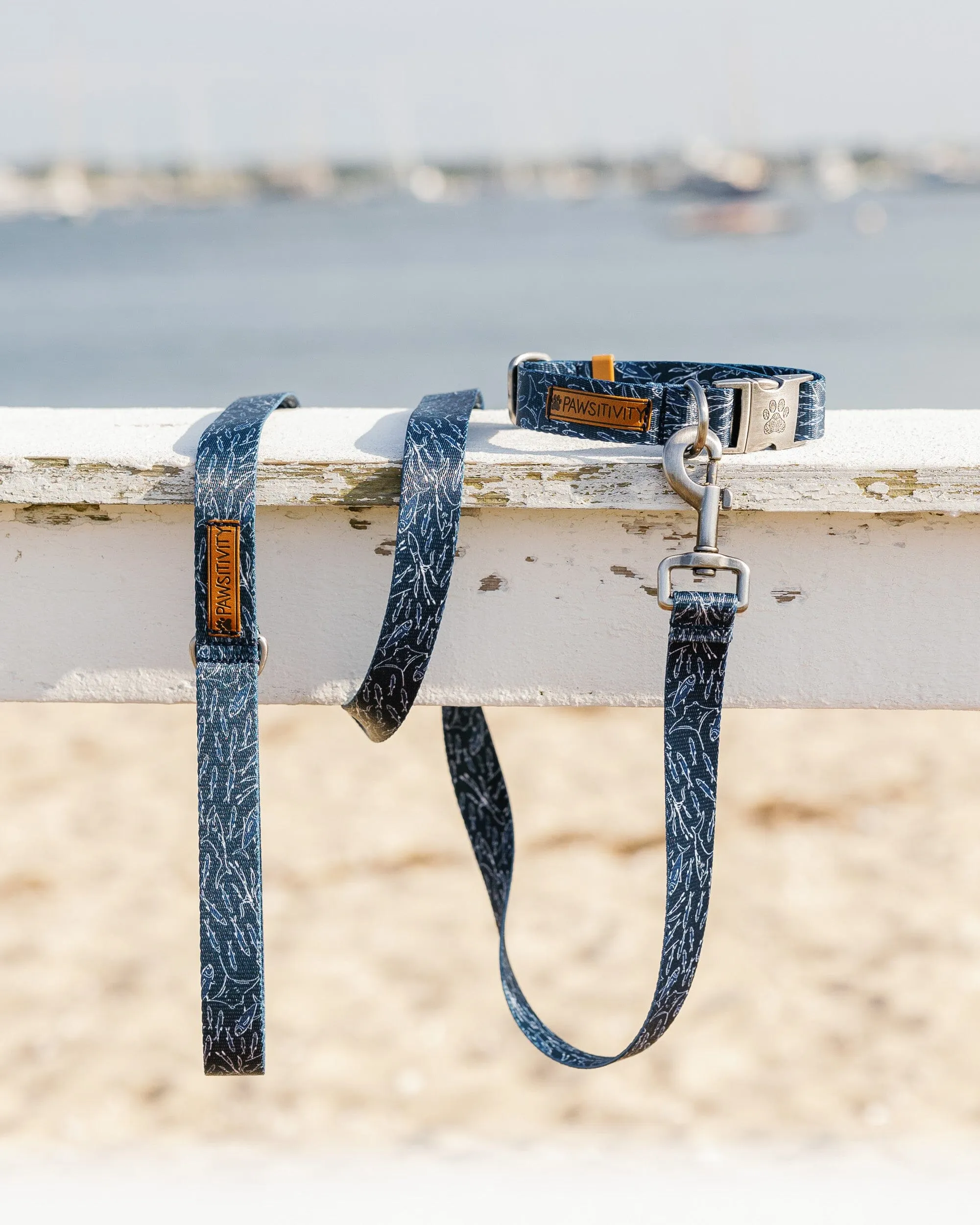 ST x Pawsitivity Schooling Fish Dog Leash